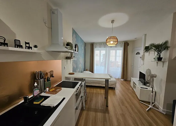 Daire Castle White - 2 Personnes - 15 Min Sanctuaire Lourdes